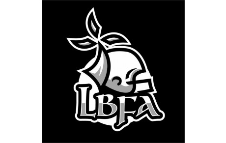 Coupe de la Ligue Bretagne